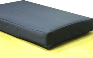 Mammoth Latex Dog Bed