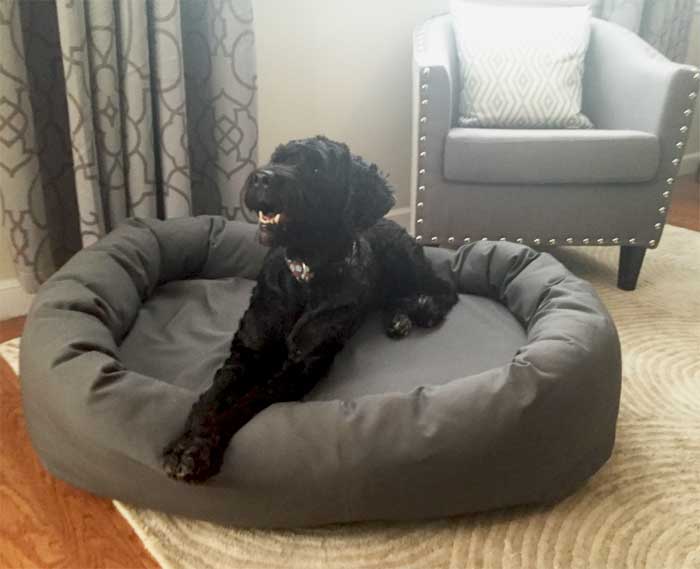 Mammoth Memory Foam Dog Beds