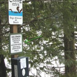 dog waste in park dog waste in park