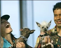 Worlds ugliest dog