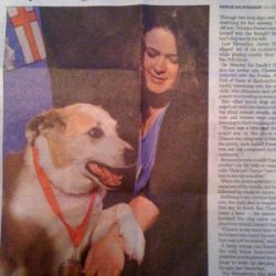Dog Honoured Dog Honoured