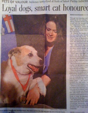 Dog Honoured