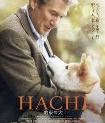 Hachi Hachi