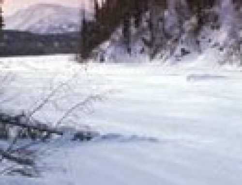 The Last Great Race – Iditarod 2011