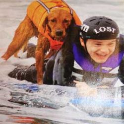 surfingdog Dog on surf board