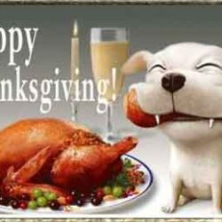 thankgiving thankgiving