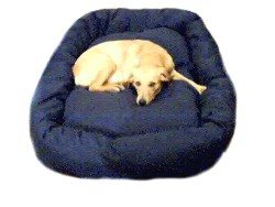 Mammoth Extra Large Dog Bed 