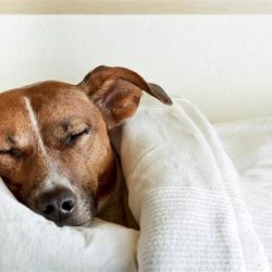 Making winter cozier – Feature Making winter cozier - Feature