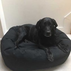 lab-on-medium
