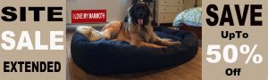 Mammoth Dog Beds