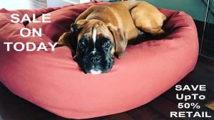 Mammoth Large Dog Bed