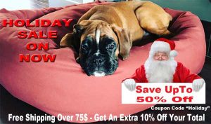 Large dog on Mammoth bed