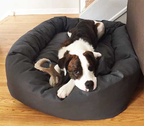 lv dog bed, extra large dog bed