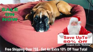 holiday large dog bed