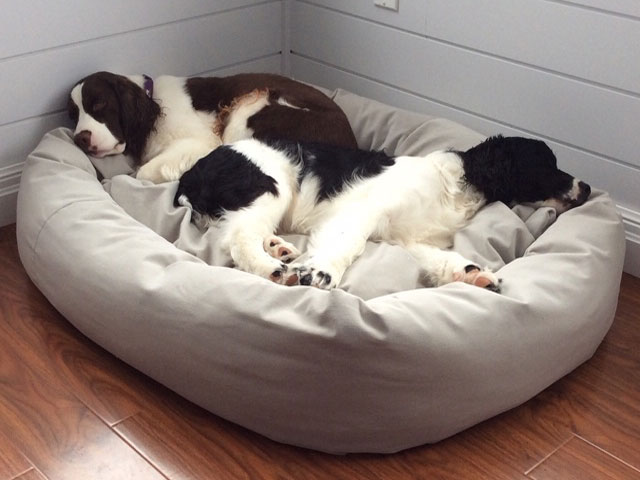 Mammoth Extra Large Dog Bed 