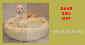 retriever on donut dog bed