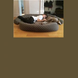 double bolster dog couch