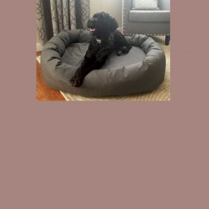 Mammoth memory foam dog bed