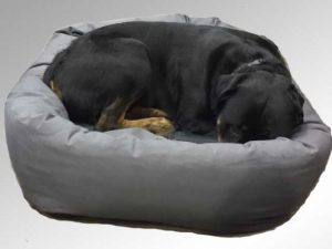Rottweiler dog bed
