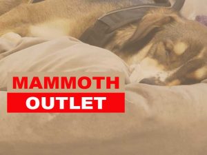 Mammoth Outlet