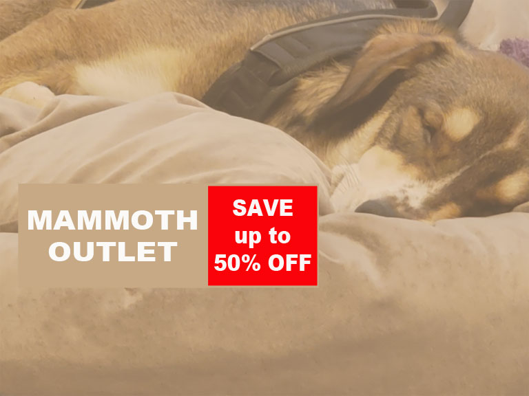 Mammoth Dog Beds For Large Dogs Usa, American Furniture Warehouse Dog Beds