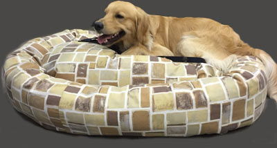 Golden Retriever on dog bed