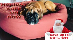 Christmas holiday dog bed sale