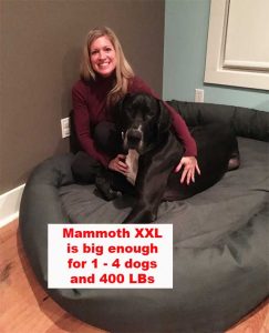 XXL Mammoth