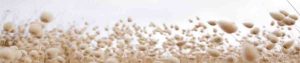 cotton