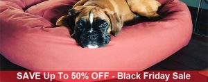Mammoth large dog bed sale